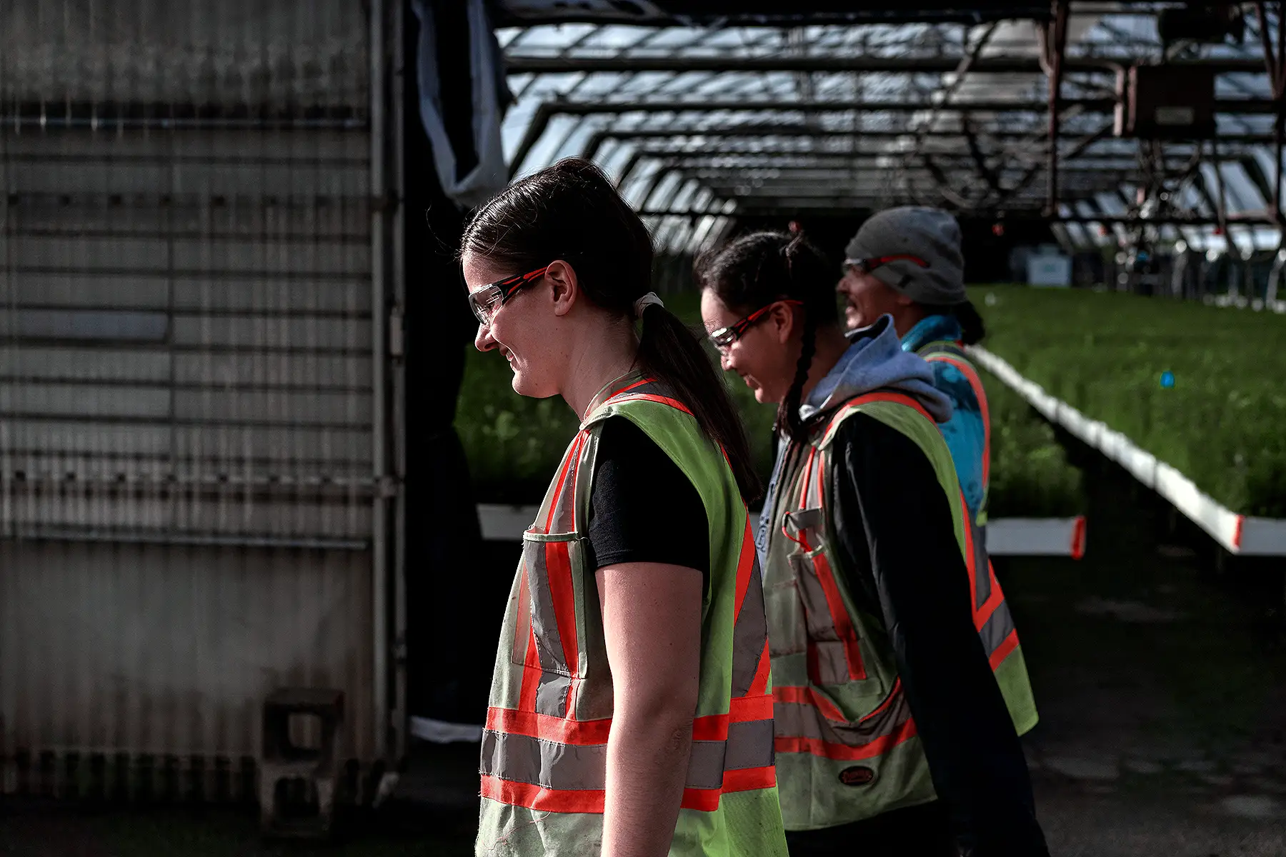Western Forest Products Careers