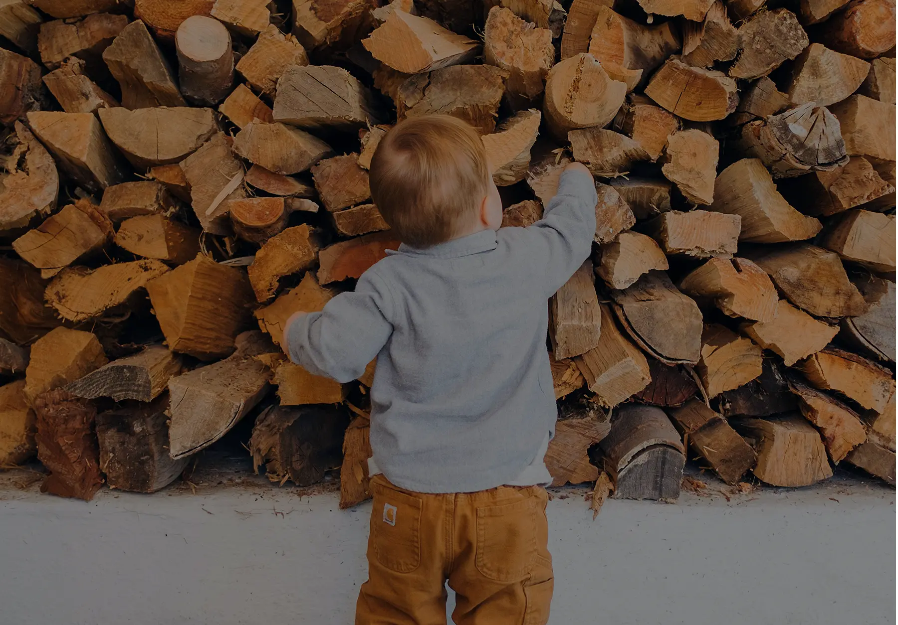 Western Forest Products Stewardship