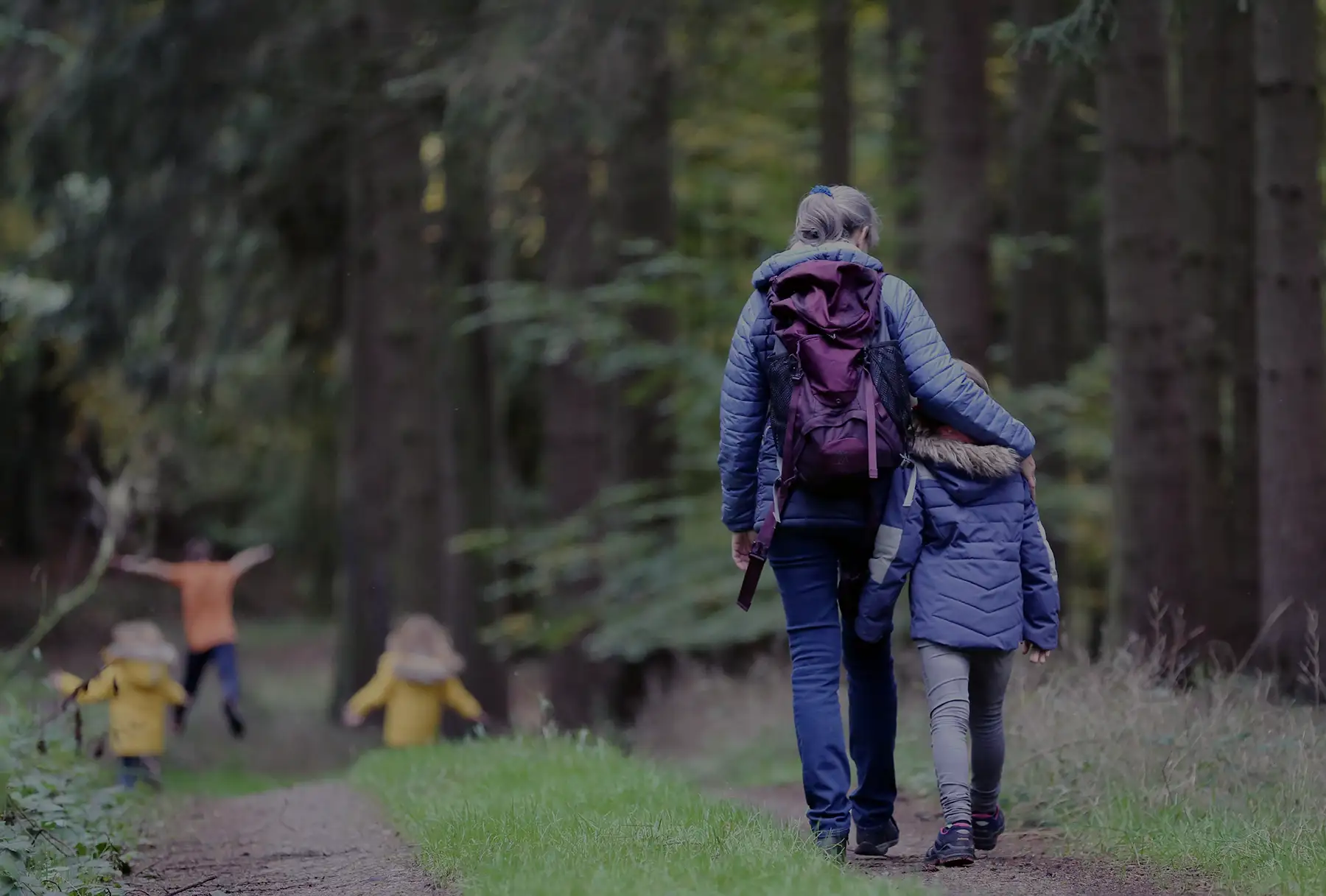 Western Forest Products Stewardship