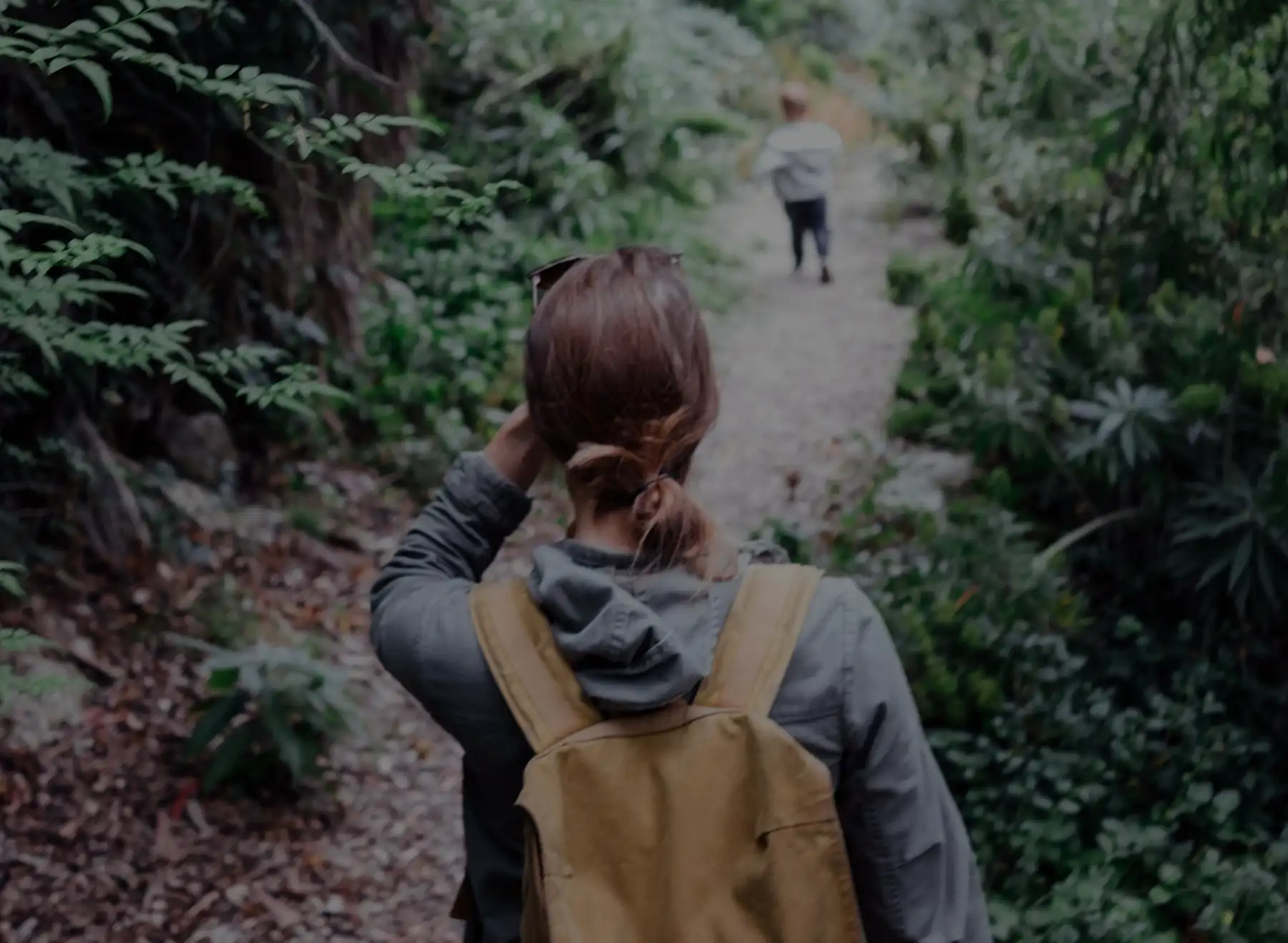 Sustainability western forest products about