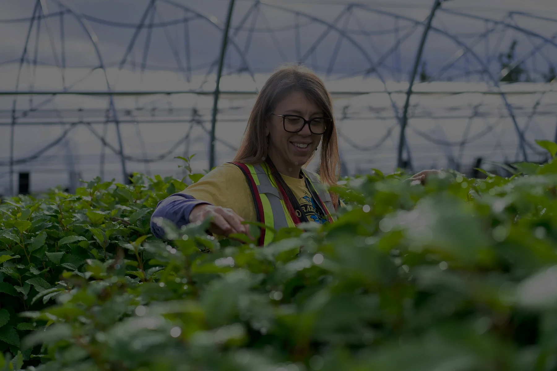 Western Forest products company