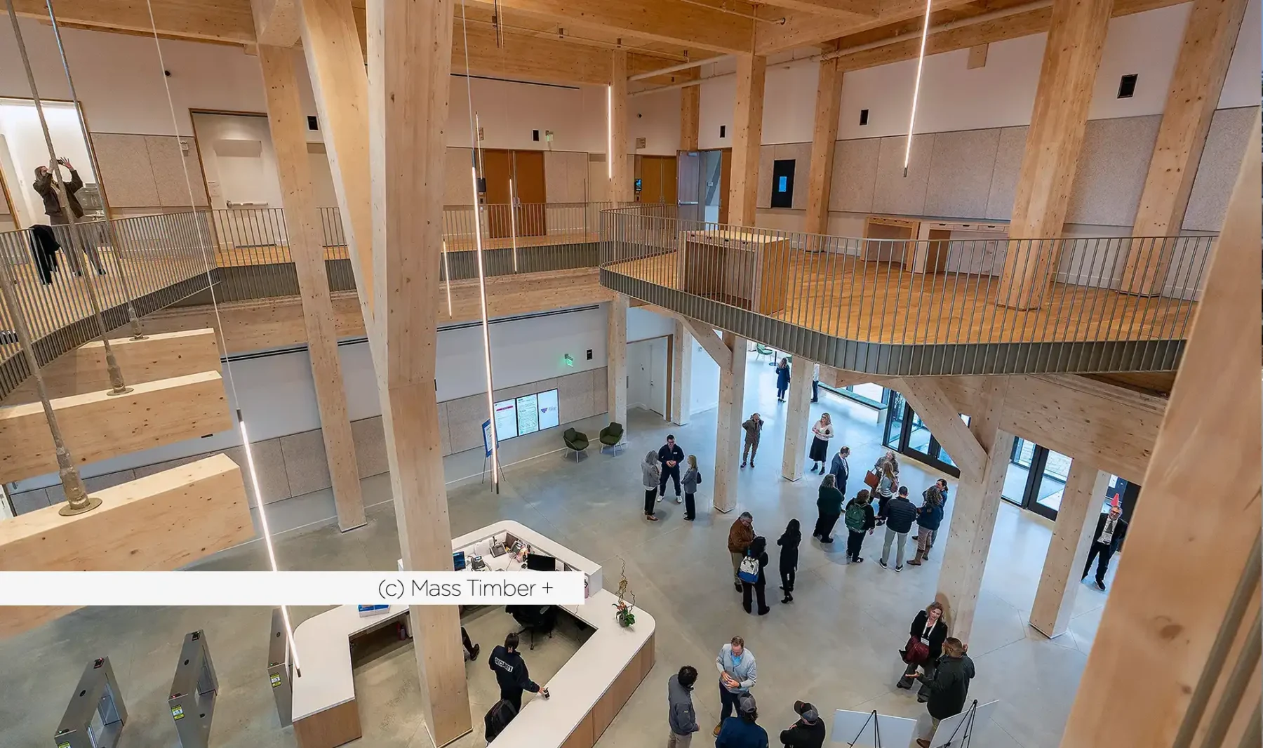 Glue Laminated Timber Manufacturer