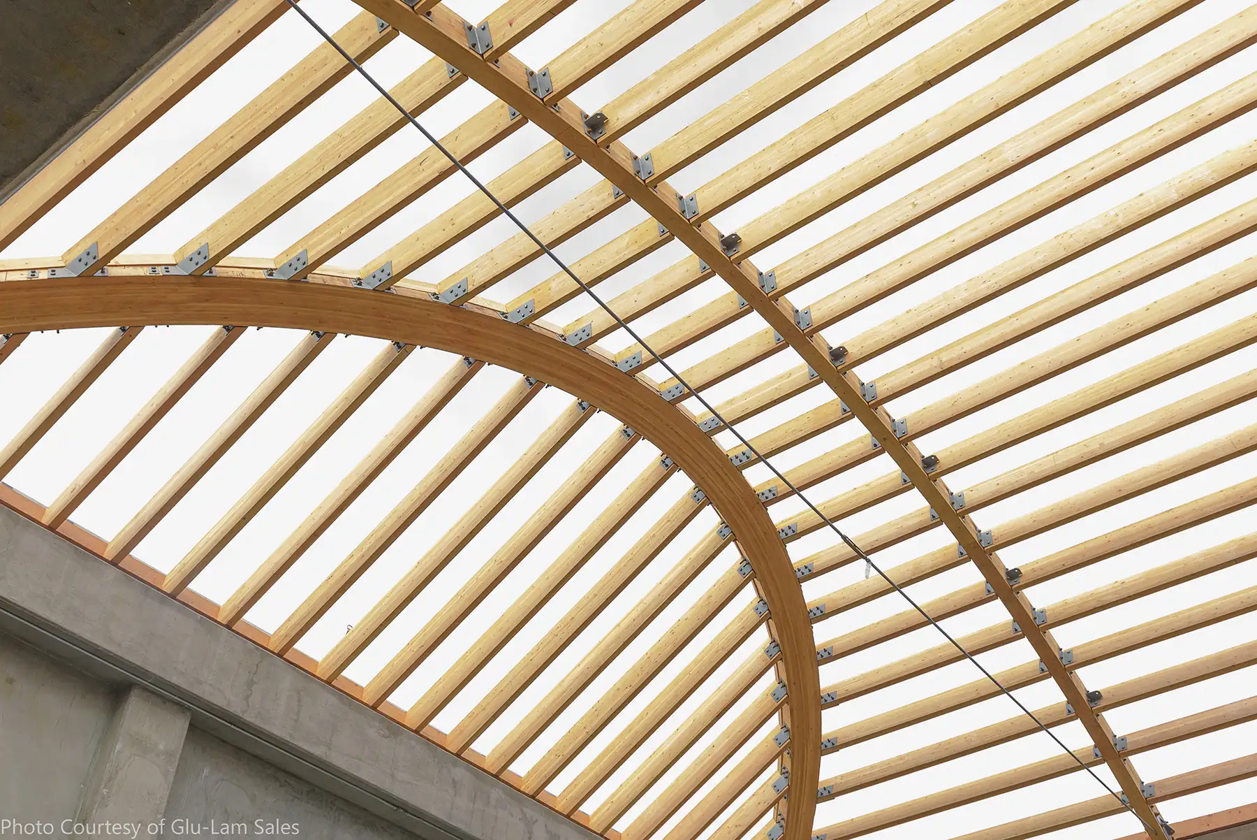 Curved Roof Beams Manufacture