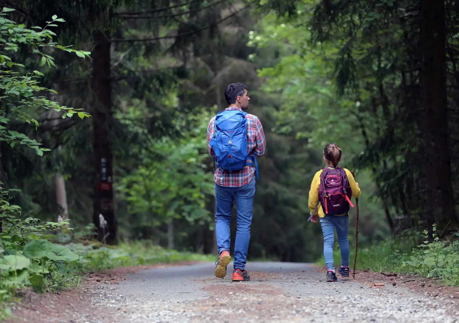 Western Forest Products BC