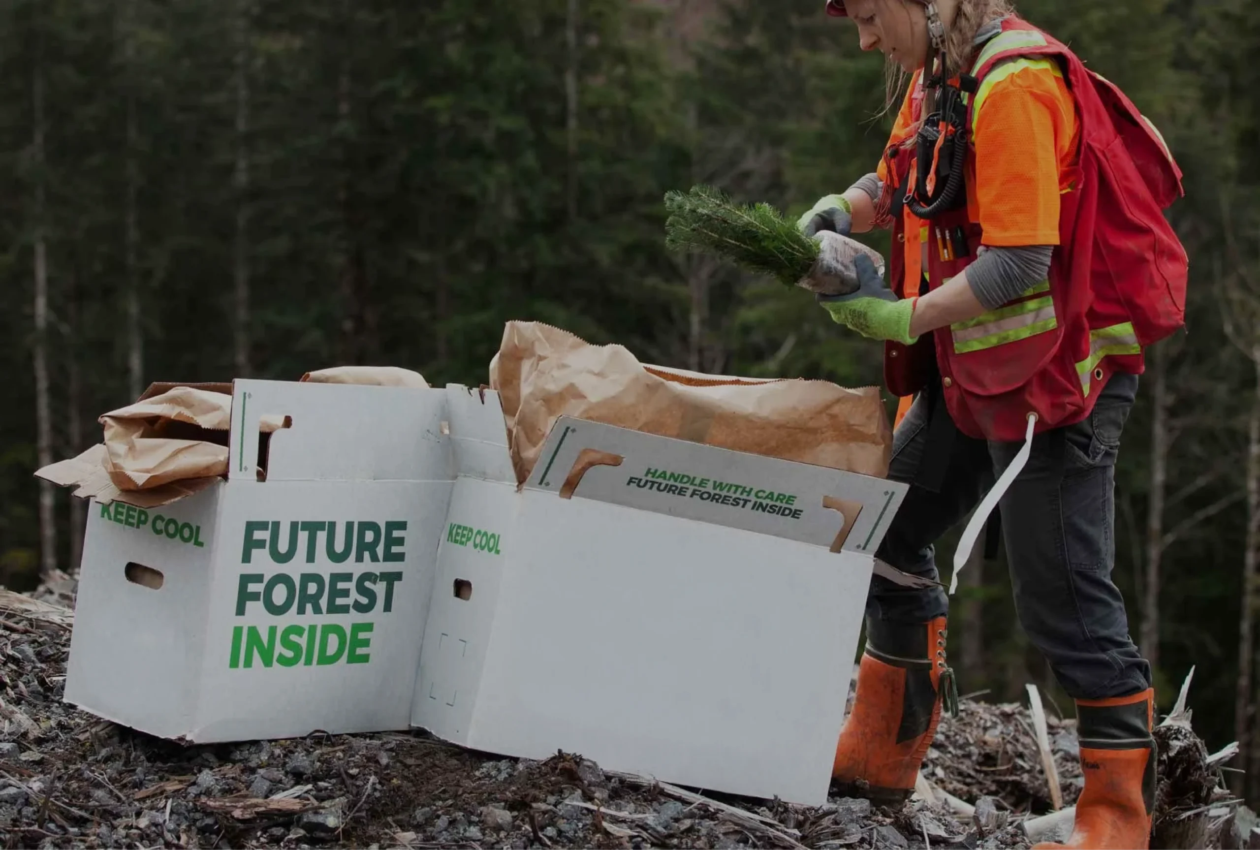 saanich forestry