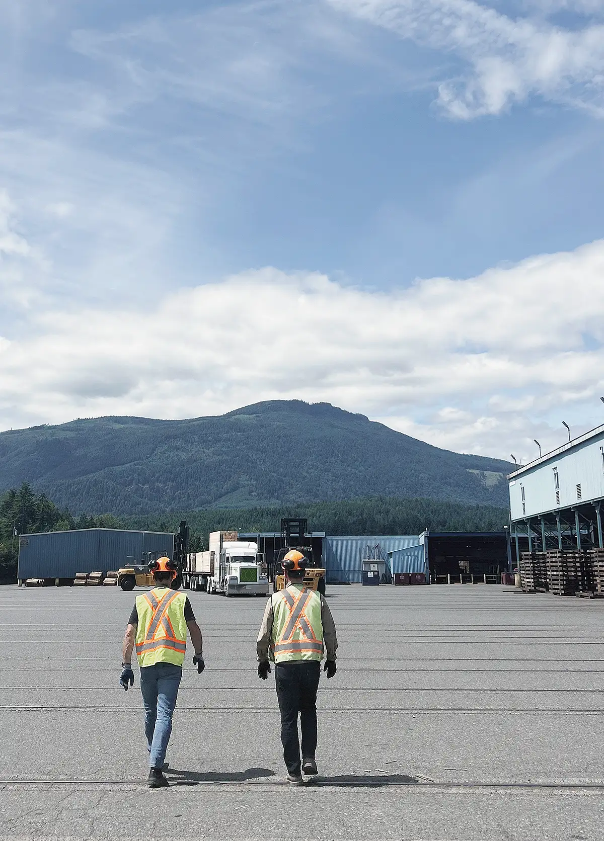 western forest kiln team