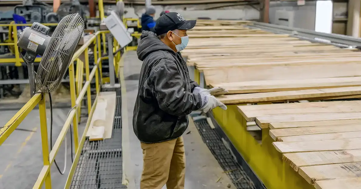 thermally modified hardwood and softwood